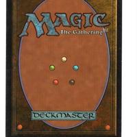 Isola tropicale Carta Magic The Gathering inglese