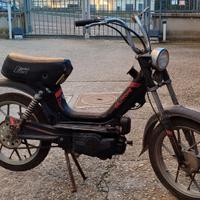 Motorino Califfone più