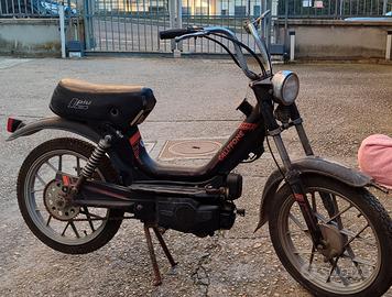 Motorino Califfone più