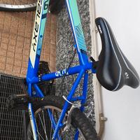 mountain bike 26 pollici usata