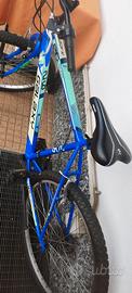 mountain bike 26 pollici usata
