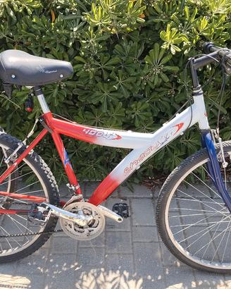 montanbike da 26
