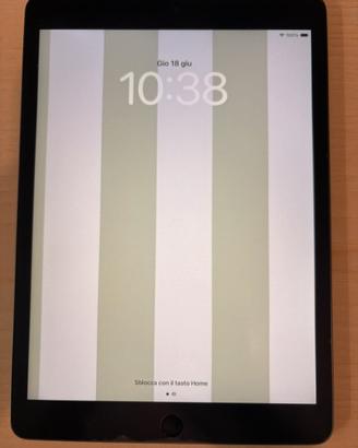 IPad 9°gen 10,2" 2021 Space Grey 64G WiFi