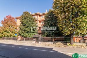 AMPIO QUATTRO LOCALI CON CANTINA