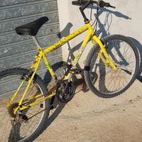 bici 24