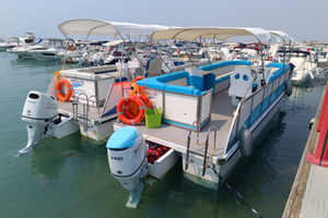 Catamarano per escursioni Pontoon Boat