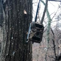 Fototrappola 3G 12MP NUMAXES PIE1023