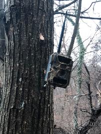 Fototrappola 3G 12MP NUMAXES PIE1023