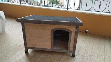 Cuccia cane tipo jack Russell