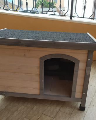 Cuccia cane tipo jack Russell