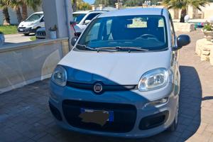 Fiat panda hybrid