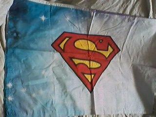 Federa per Cuscino/arredo-poster BatMan e SuperMan