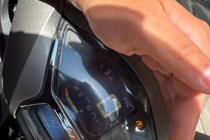 Sh 350 sport anno 2024/2025