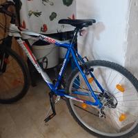 Bottecchia FX 500