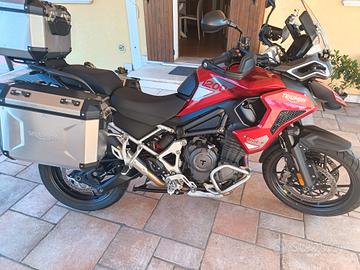 Triumph Tiger 