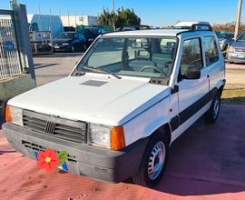 Fiat Panda 1100 i.e. cat Young