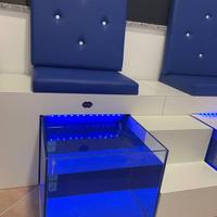 Poltrone fish pedicure