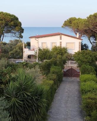 Disponibilità per le tue vacanze