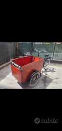 Babboe Cargo Bike