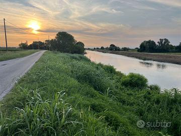 Rif.B392| terreno agricolo chioggia