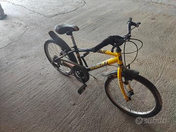 bicicletta bambino 20