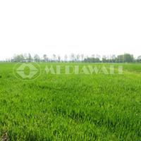 Terreno edificabile a Arba