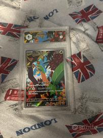 Tropius  jap graad 9.5 2023