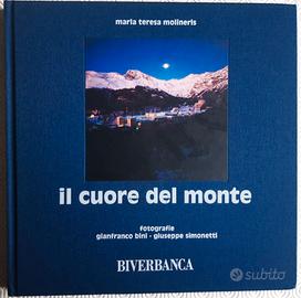 Gianfranco Bini: Il cuore del monte
