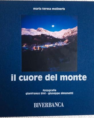 Gianfranco Bini: Il cuore del monte