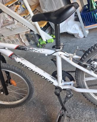 bicicletta