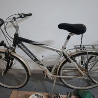 biciclette da uomo 