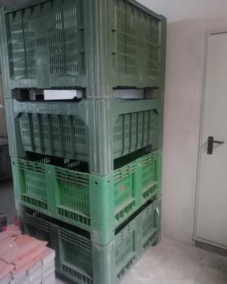 CASSONI IN PLASTICA (BINS)