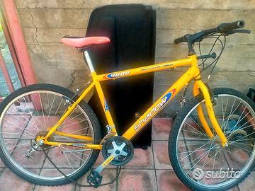 Biciclette varie misure