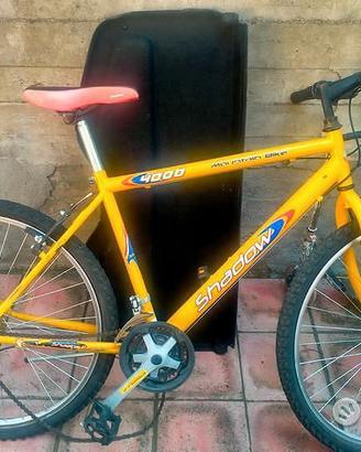 Biciclette varie misure