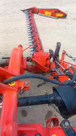 Falce gaspardo fiore