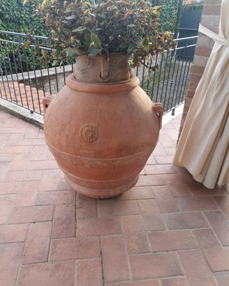 orcio Toscano 