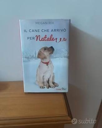 Il cane che arrivó per Natale