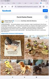 Animali in miniatura della Hagen -  Renaken inc.