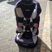 sediolone foppapedrrtti