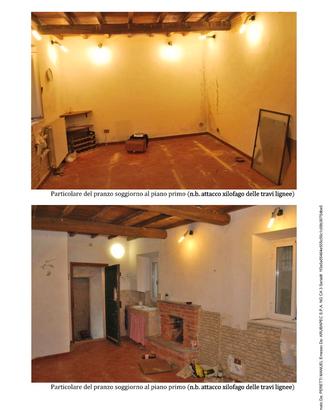 Tvl 304/2023 appartamento