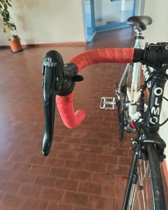 bicicletta olmo uomo 