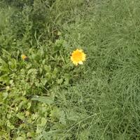 Lavoro come badante a Bologna