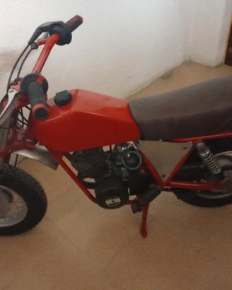 mini moto
