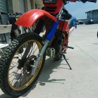 Honda XL 600 R Paris Dakar 1984, iscrizione ASI