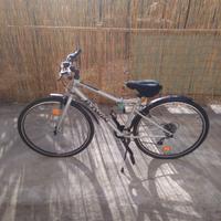 Bici polivalente seminuova