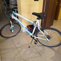 Mountain Bike xl