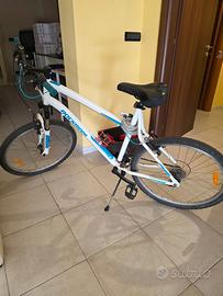 Mountain Bike xl