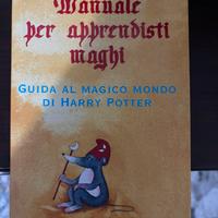 Libro Harry Potter