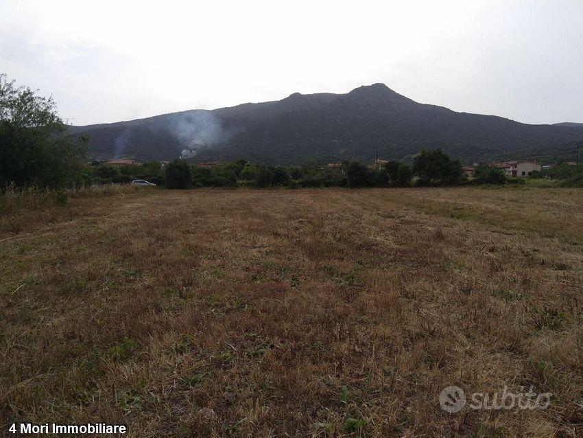 Terreno Loc. Is Pinnas mq. 1900 - Vista 3