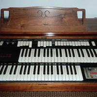 Organo farfisa
